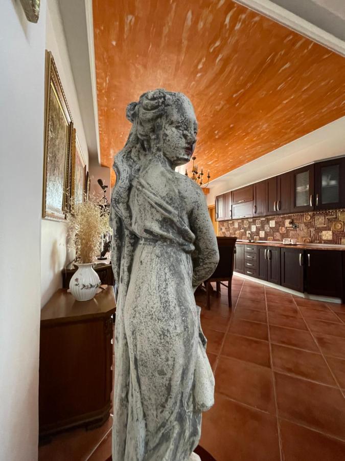Venus - Cozy Apt With Terrace فلورا المظهر الخارجي الصورة